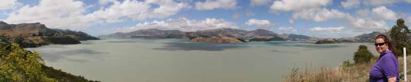 Nieuw-Zeeland 2011 - 2137